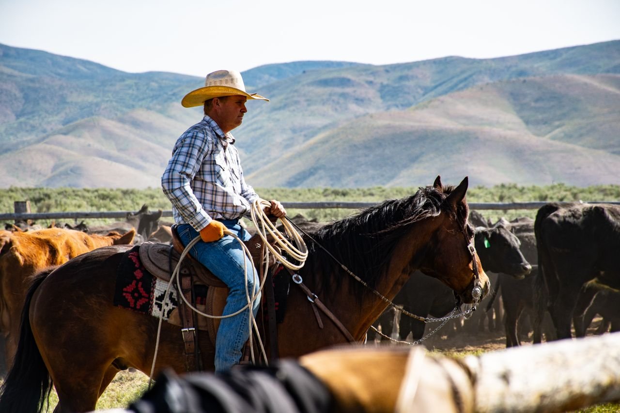 Ranching and agriculture